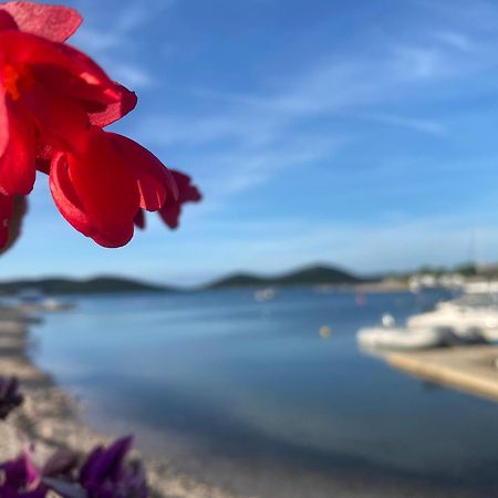 Amore Del Mare, Seaside Family Pace, Free Parking And Wifi In Camp Dalmatino Драге Екстериор снимка